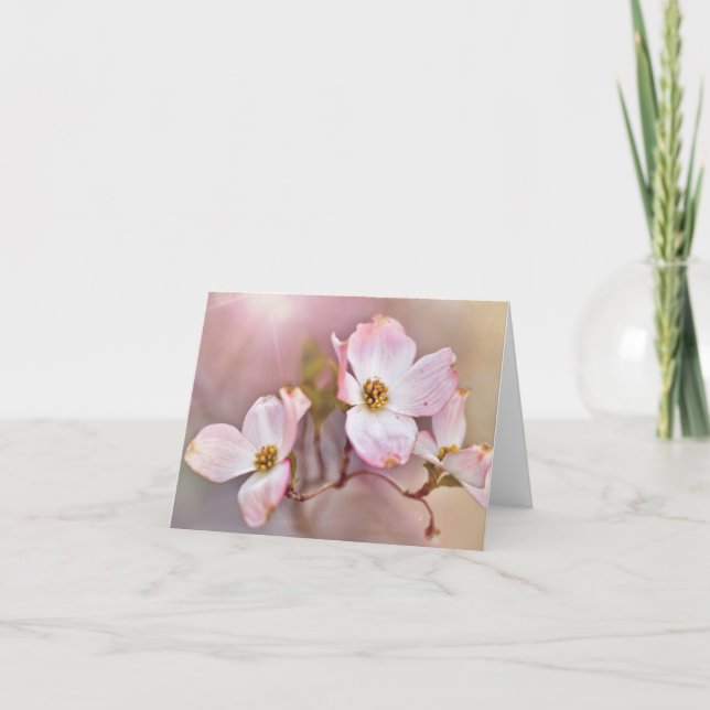 Cartão Dreamy Dogwood Blossoms All Occasion Note Cards (Frente)