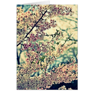 Cartão Dreamy Explosion (Dentro de Vazio)