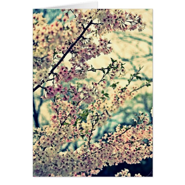 Cartão Dreamy Explosion (Dentro de Vazio) (Frente)