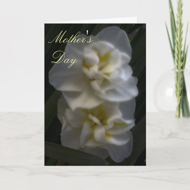 Cartão Dreamy Narcissus Daffodils Mãe Day (Frente)