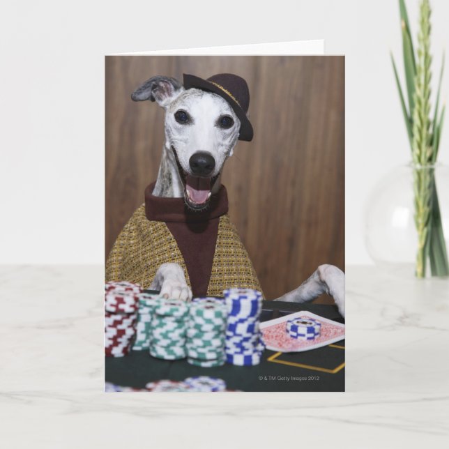 Cartão Dressed up Whippet dog at gambling table (Frente)