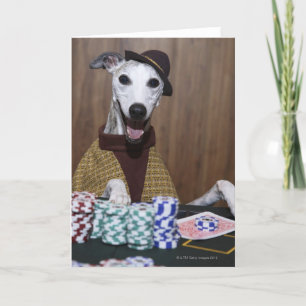 Cartão Dressed up Whippet dog at gambling table