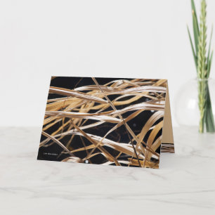 Cartão Dried Grasses