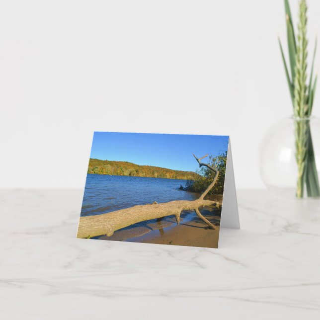 Cartão Driftwood Notecard (Frente)