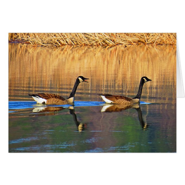 Cartão Driver do assento traseiro (Frente Horizontal)