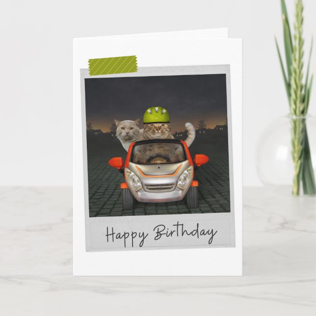 Cartão Driving Cats Funny Birthday Card (Frente)