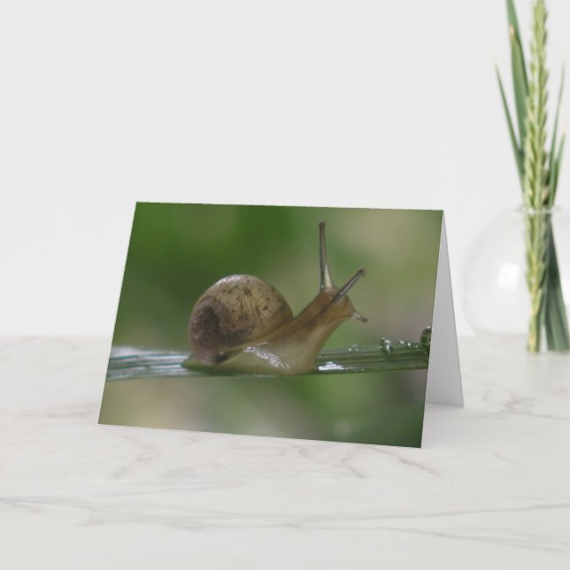 Cartão Droga! Tarde de novo. (Frente)