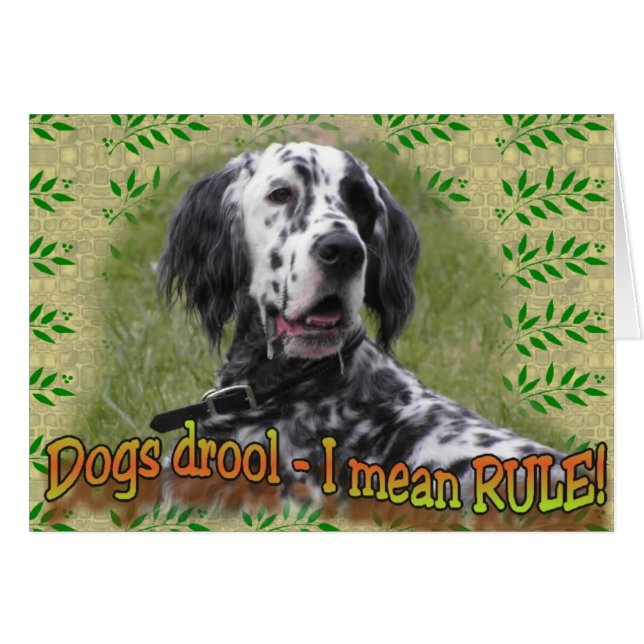 Cartão drool ou REGRA (Frente Horizontal)