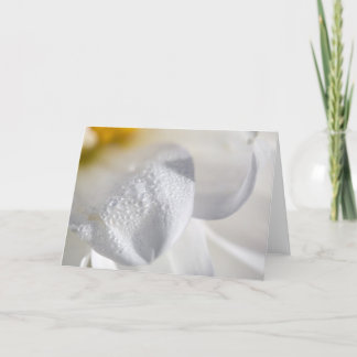 Cartão Drops on dahlia petals