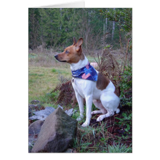 Cartão DSC00088 Rick de rato