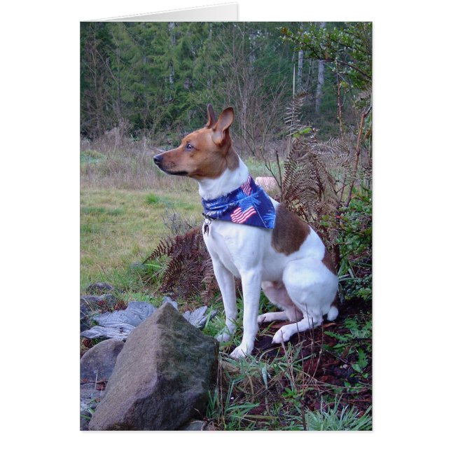 Cartão DSC00088 Rick de rato (Frente)