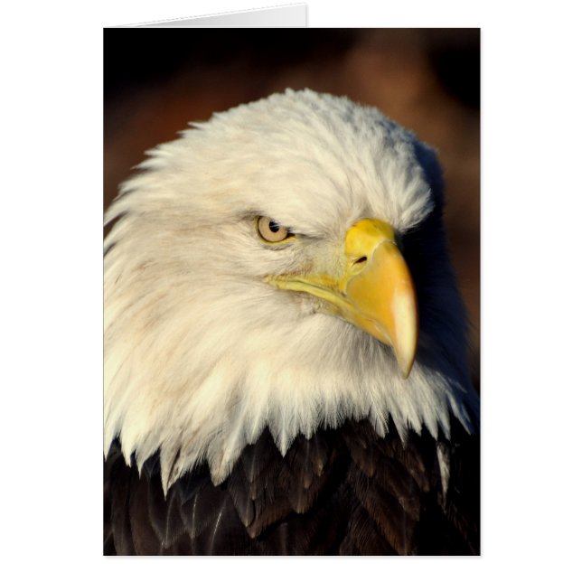 CARTÃO DSC_7279 (Frente)