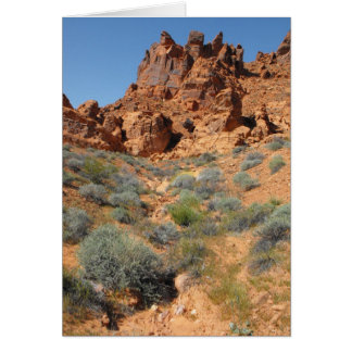 Cartão DSCF0344, ~in seu words~