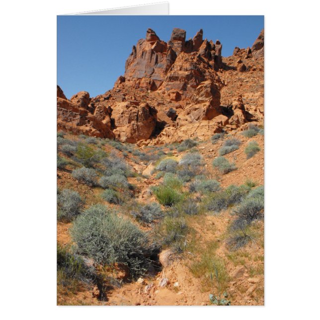 Cartão DSCF0344, ~in seu words~ (Frente)