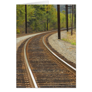 Cartão DSCF6914, ~in seu words~