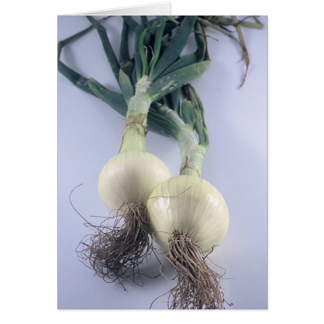 Cartão Duas cebolas (Frente)