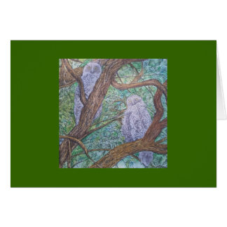 Cartão duas corujas