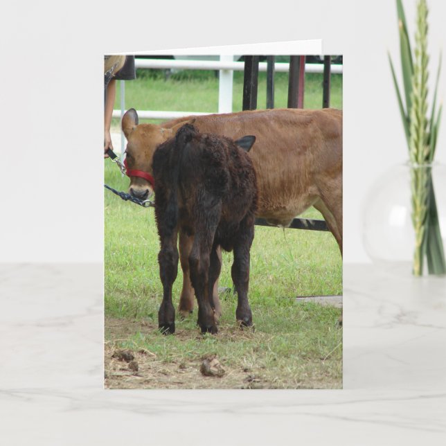 Cartão Duas Entradas de Apresentação de Carne (Frente)