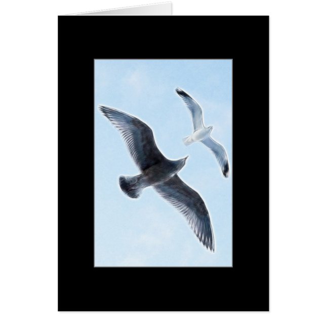 Cartão Duas gaivotas (Frente)