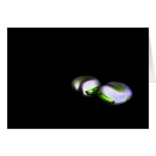 Cartão duas gcna do feijão grosso