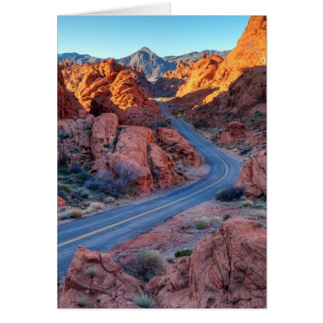 Cartão Duas Lane Splendor (Frente)