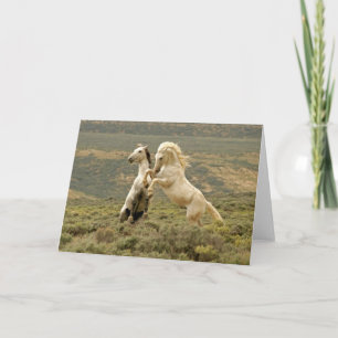 Cartão Duas Lutas Selvagens de Estalhões