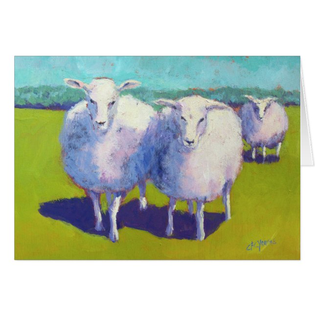 Cartão Duas Ovinos No Campo (Frente Horizontal)