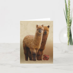 Cartão Duas placas de nota alpacas