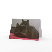 Duas placas de saudação Black Cats