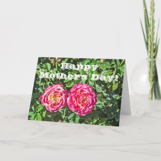 Cartão Duas Rosas Rosa Escuras com Folhas Verdes Escuras (Frente)