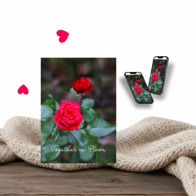 Cartão Duas rosas vermelhas para o Dia dos Namorados (Criador carregado)