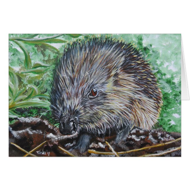 Cartão Dubbele kaart Egel. (Frente Horizontal)