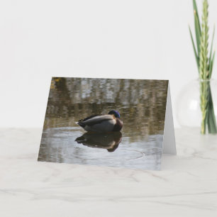 Cartão Duck