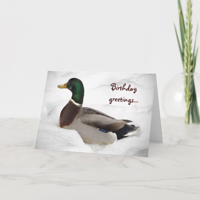 Cartão Duck in Snow Birthday (Frente)