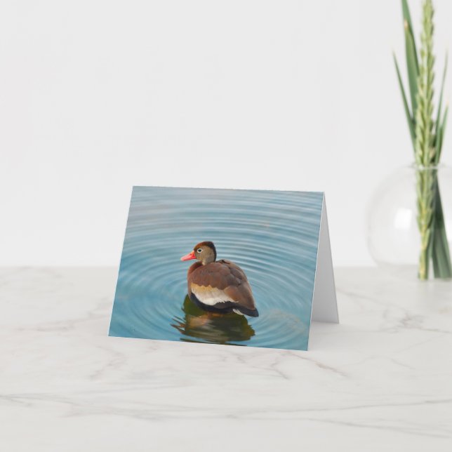 Cartão Duck Note Card (blank) (Frente)