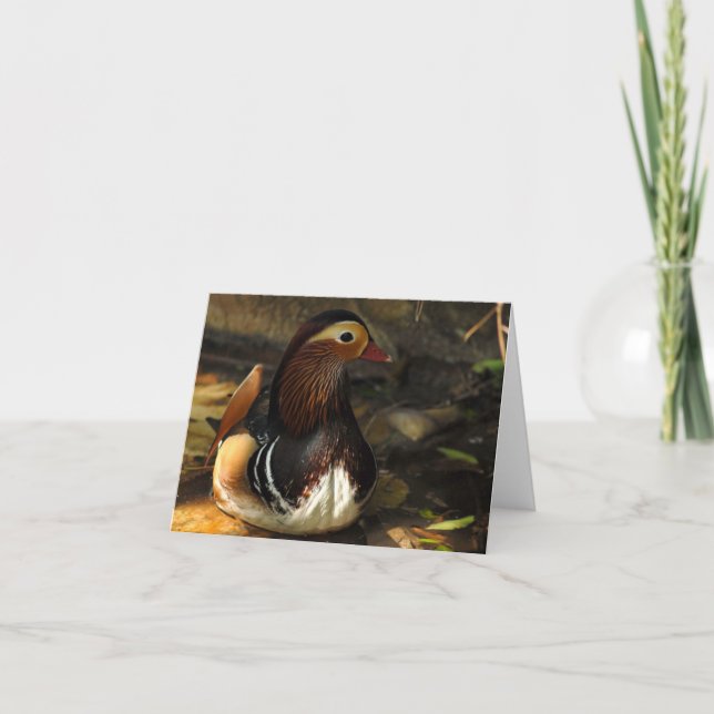 Cartão Duck Notecard (Frente)