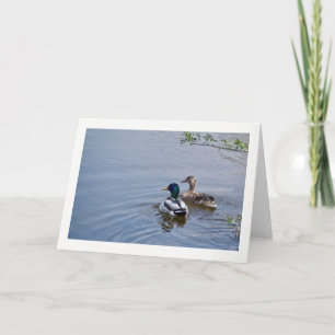 Cartão Duck Pond Greeting Card