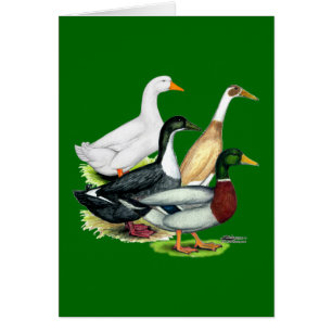 Cartão Duck Quartet