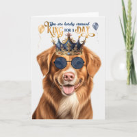 Duck Tolling Retriever King para o Dia de Aniversá
