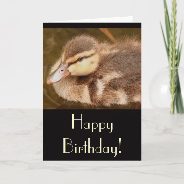 Cartão Duckling Birthday Card (Frente)