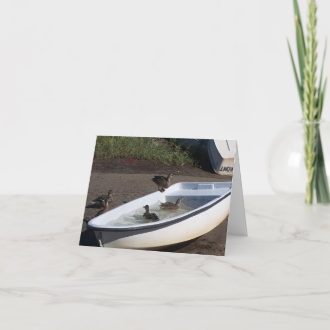 Cartão Ducks (Frente)