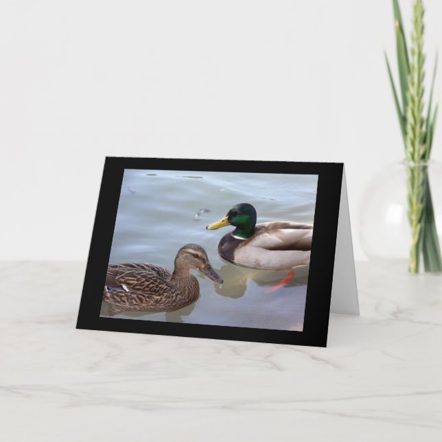 Cartão Ducks on a Pond Card (Frente)