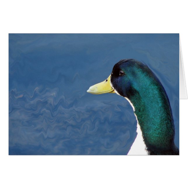 Cartão Ducky (Frente Horizontal)