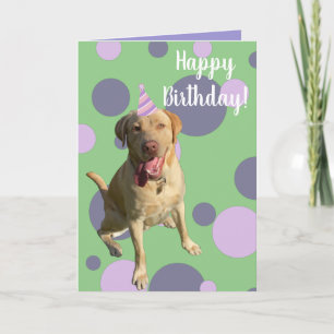 Cartão Dudley Labrador Birthday