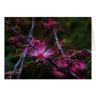 Cartão Duelo de fada rosa