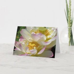 Cartão Dueto de Flor do Lotus