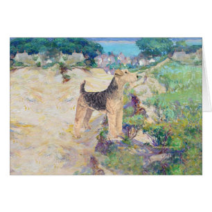 Cartão Dunas de Areia