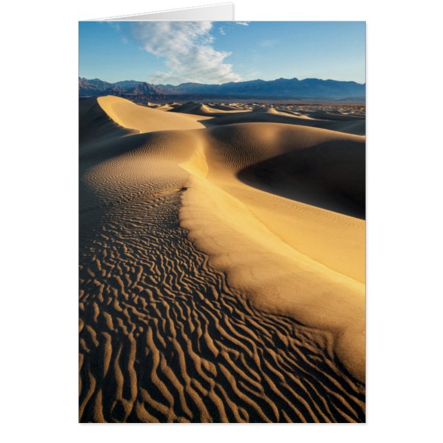 Cartão Dunas de areia em Death Valley, CA (Frente)