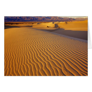 Cartão Dunas de areia Mesquite Flat em Death Valley