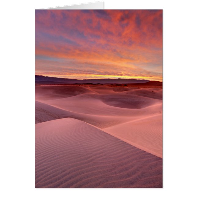 Cartão Dunas de areia rosa, Vale da Morte, CA (Frente)